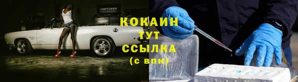 мяу мяу мука Алзамай