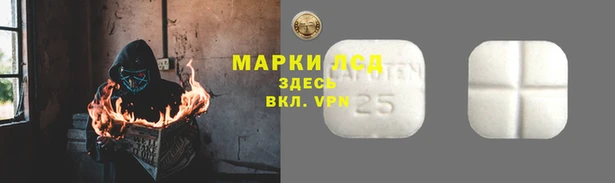 шишки Пересвет