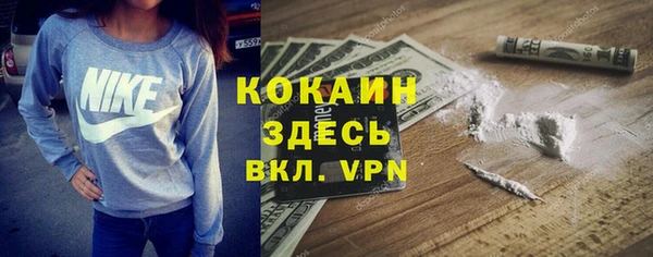 мяу мяу мука Алзамай
