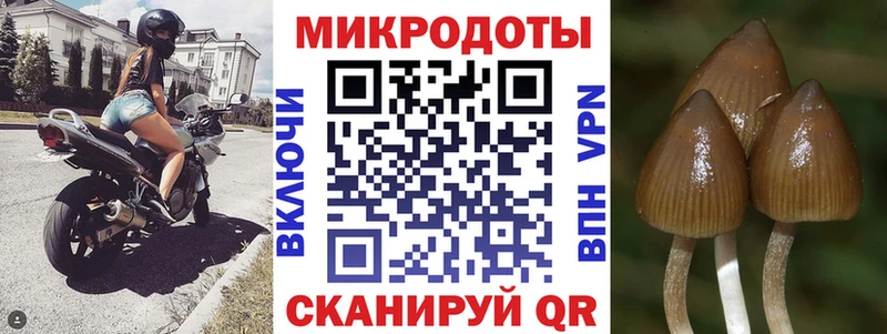 хочу   Томмот  MEGA онион  Галлюциногенные грибы MAGIC MUSHROOMS 
